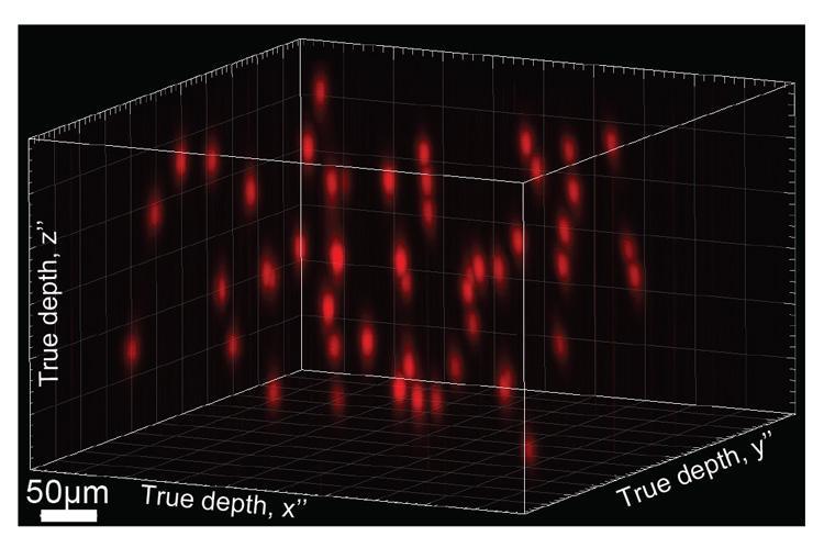 Scientists-use-holographic-projection-to-edit-brain-activity.jpg