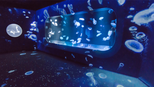 沉浸式数字互动水族馆-光影投影海洋馆