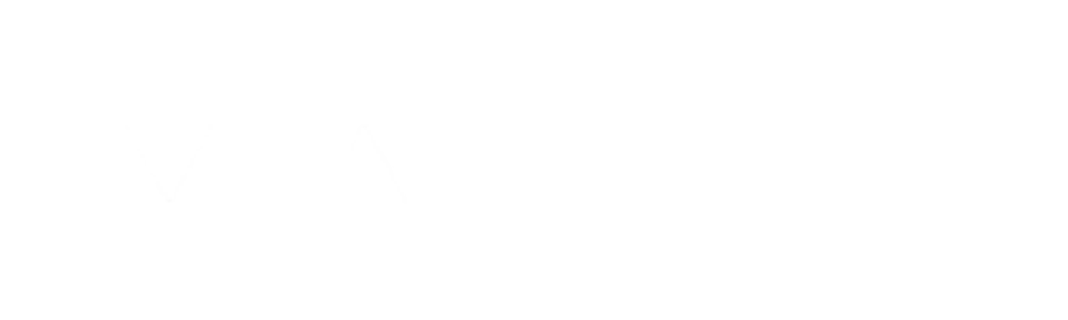 VIZIA凡卓