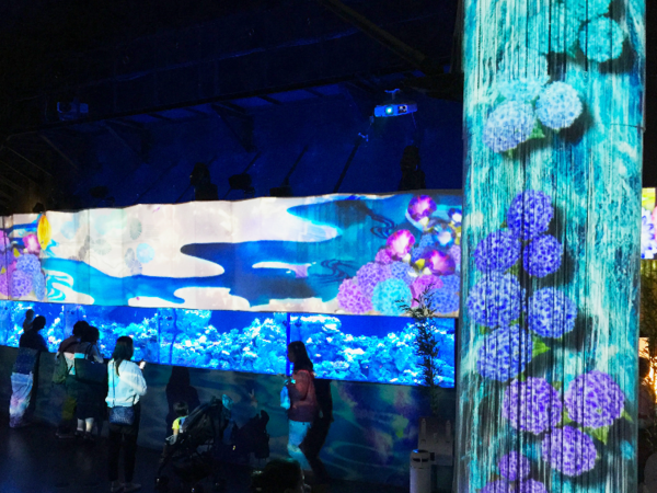 光影互动-墙壁投影水族馆时尚酒吧